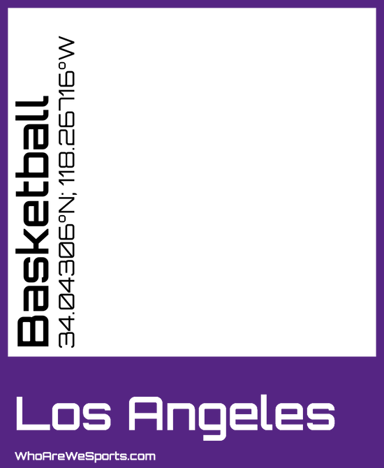 Los Angeles Basketball Mug (Purple/Black)