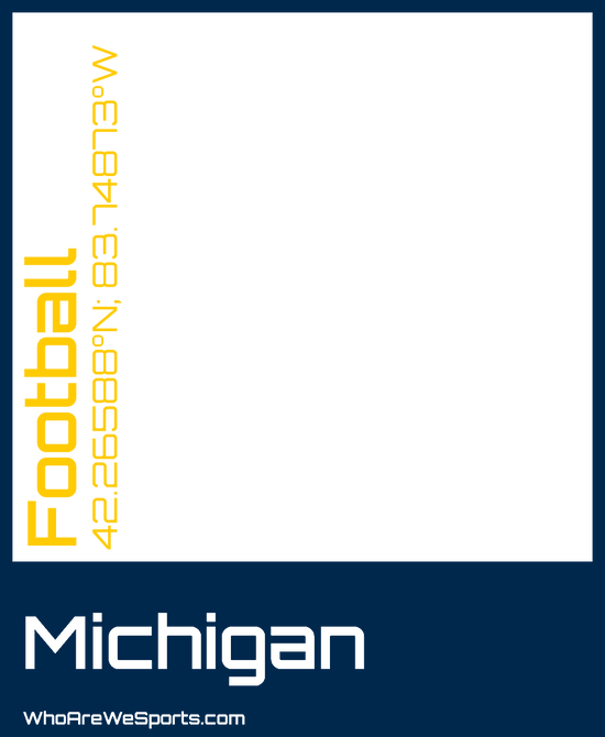 Michigan College Football T-shirt (Blue/Yellow)