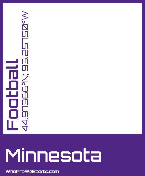 Minnesota Pro Football T-shirt (Purple)