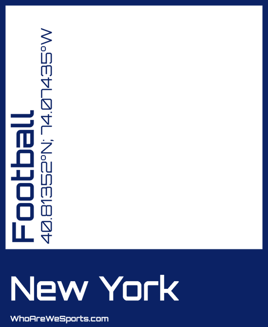 New York (N) Pro Football Mug
