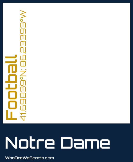 Notre Dame College Football T-shirt (Blue/Gold)