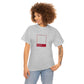 Arizona Baseball T-shirt (Red/Sand)